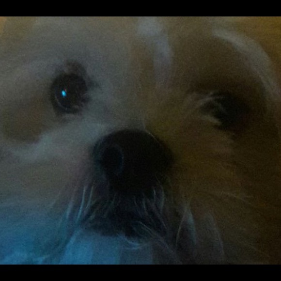 Meet your Posher, Leticia - Picture 1 of 1